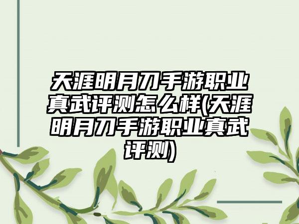 天涯明月刀手游职业真武评测怎么样(天涯明月刀手游职业真武评测)