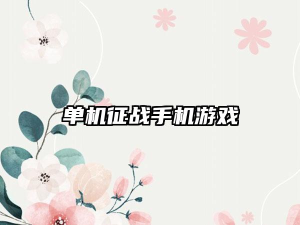 单机征战手机游戏