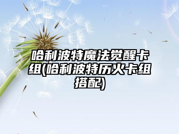 哈利波特魔法觉醒卡组(哈利波特历火卡组搭配)