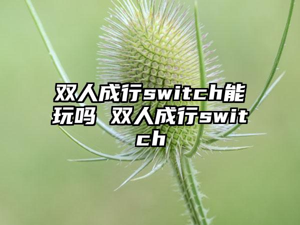 双人成行switch能玩吗 双人成行switch