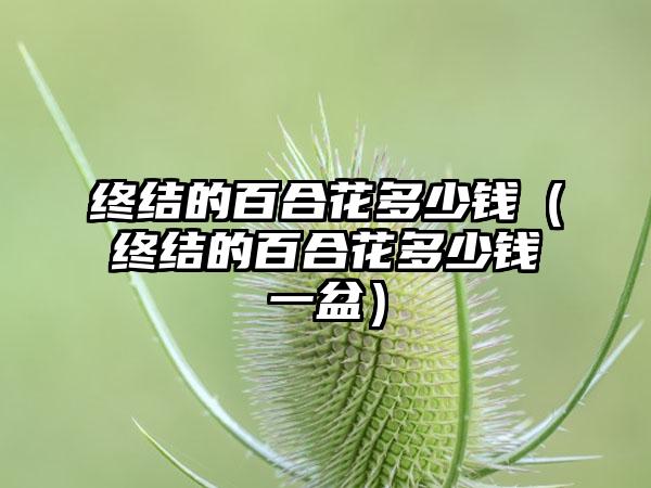 终结的百合花多少钱（终结的百合花多少钱一盆）