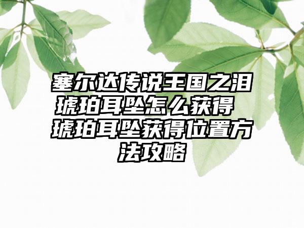 塞尔达传说王国之泪琥珀耳坠怎么获得 琥珀耳坠获得位置方法攻略