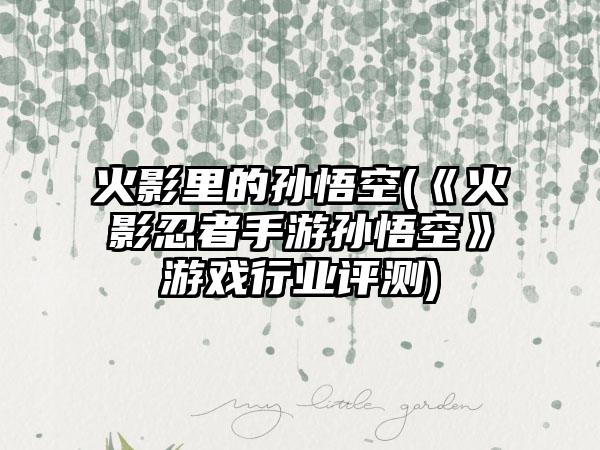 火影里的孙悟空(《火影忍者手游孙悟空》游戏行业评测)