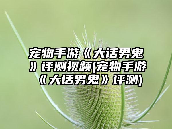 宠物手游《大话男鬼》评测视频(宠物手游《大话男鬼》评测)