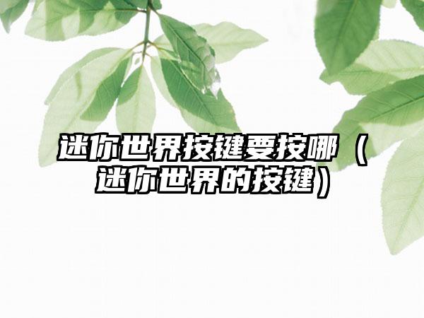 迷你世界按键要按哪（迷你世界的按键）