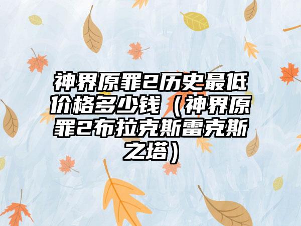 神界原罪2历史最低价格多少钱（神界原罪2布拉克斯雷克斯之塔）