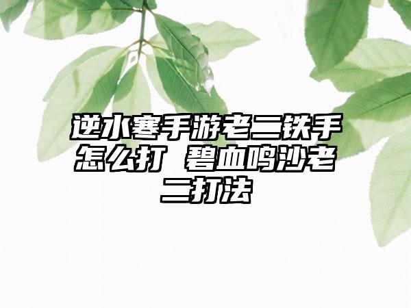 逆水寒手游老二铁手怎么打 碧血鸣沙老二打法