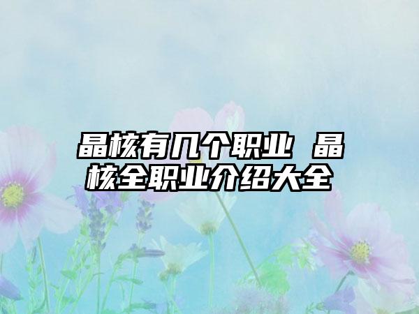 晶核有几个职业 晶核全职业介绍大全