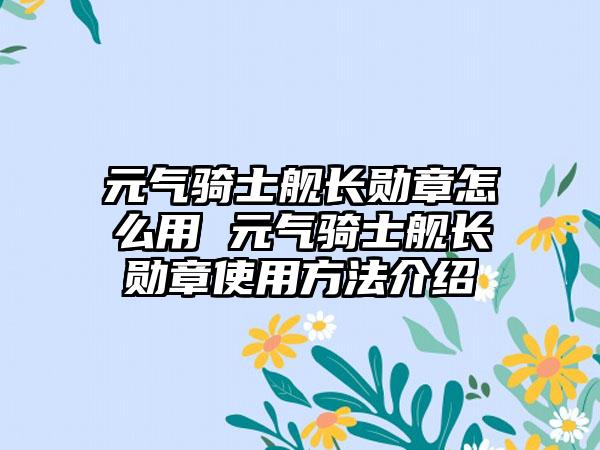 元气骑士舰长勋章怎么用 元气骑士舰长勋章使用方法介绍