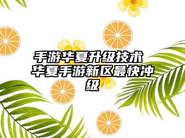 手游华夏升级技术 华夏手游新区最快冲级