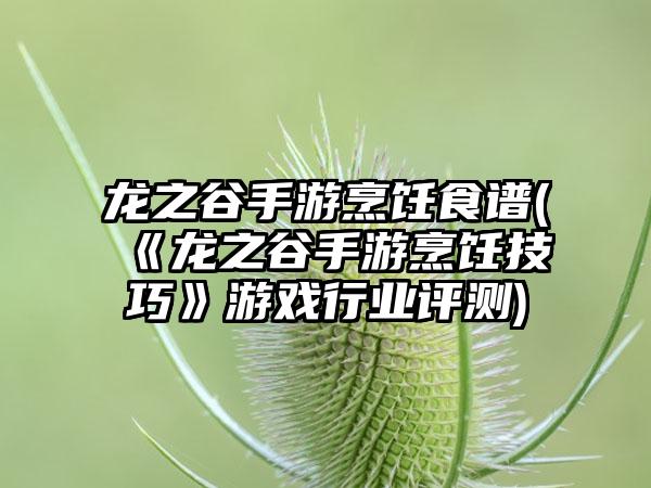 龙之谷手游烹饪食谱(《龙之谷手游烹饪技巧》游戏行业评测)