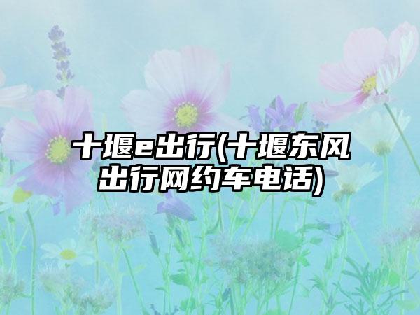 十堰e出行(十堰东风出行网约车电话)