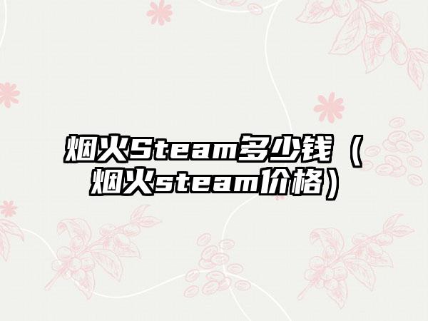烟火Steam多少钱（烟火steam价格）