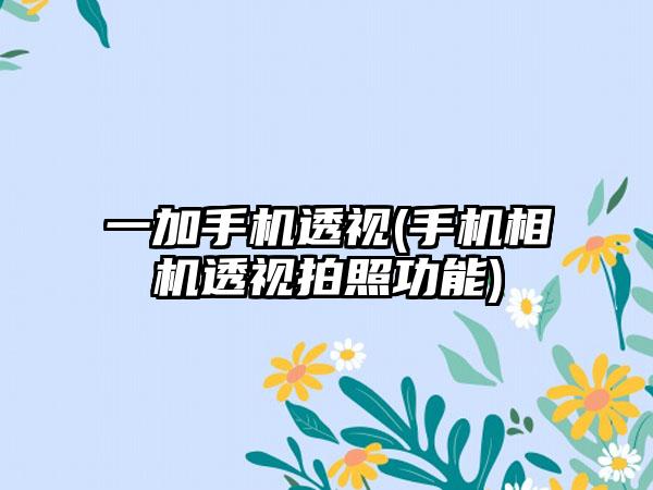 一加手机透视(手机相机透视拍照功能)