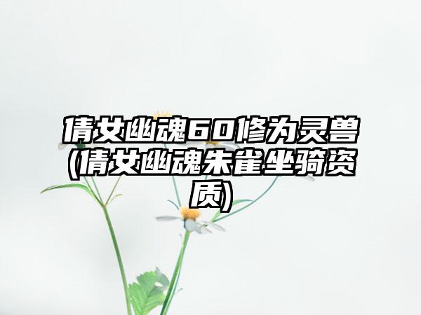 倩女幽魂60修为灵兽(倩女幽魂朱雀坐骑资质)