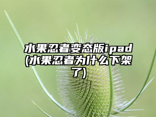 水果忍者变态版ipad(水果忍者为什么下架了)