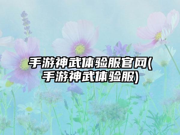 手游神武体验服官网(手游神武体验服)