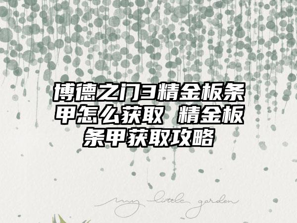 博德之门3精金板条甲怎么获取 精金板条甲获取攻略