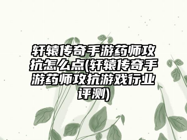 轩辕传奇手游药师攻抗怎么点(轩辕传奇手游药师攻抗游戏行业评测)