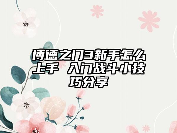 博德之门3新手怎么上手 入门战斗小技巧分享