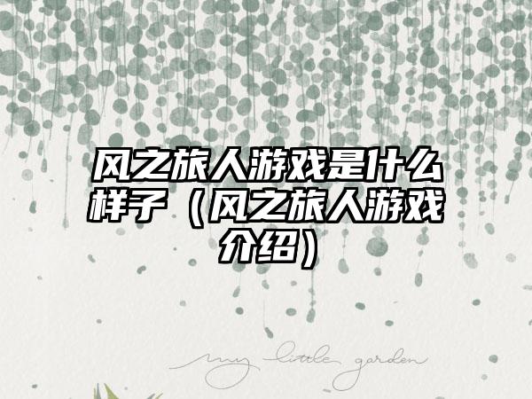 风之旅人游戏是什么样子（风之旅人游戏介绍）