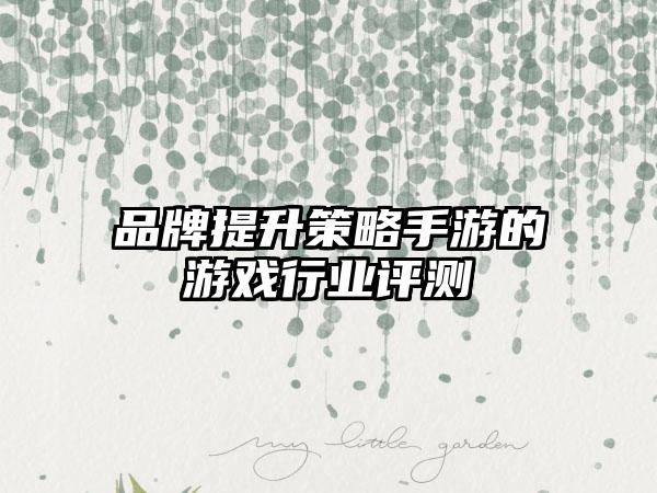品牌提升策略手游的游戏行业评测