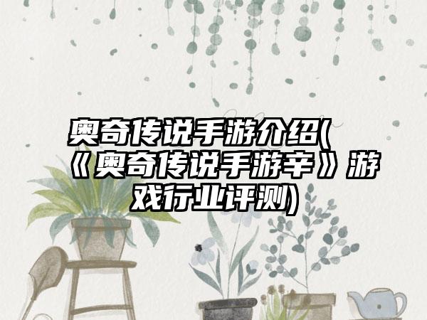 奥奇传说手游介绍(《奥奇传说手游辛》游戏行业评测)