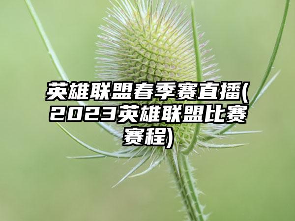 英雄联盟春季赛直播(2023英雄联盟比赛赛程)