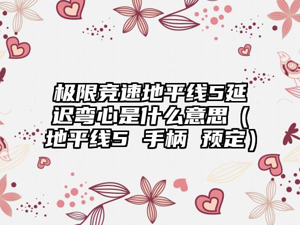 极限竞速地平线5延迟弯心是什么意思（地平线5 手柄 预定）