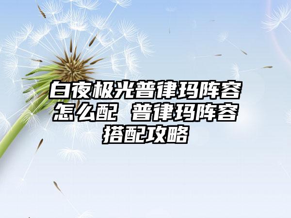 白夜极光普律玛阵容怎么配 普律玛阵容搭配攻略