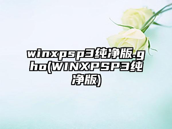 winxpsp3纯净版.gho(WINXPSP3纯净版)