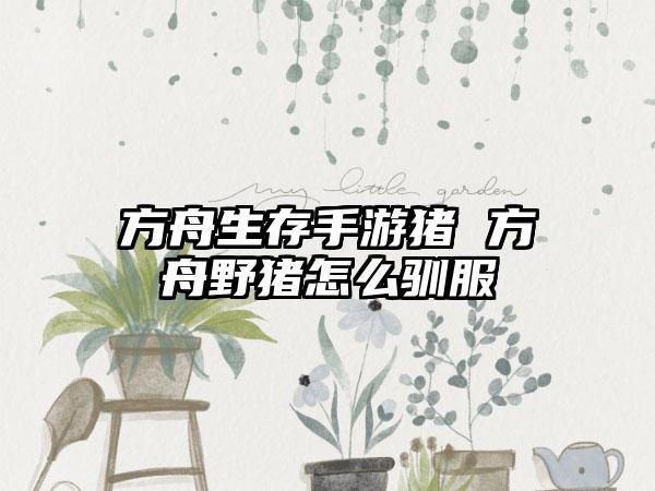 文明6怎么招募伟人（文明6招募伟人限制）