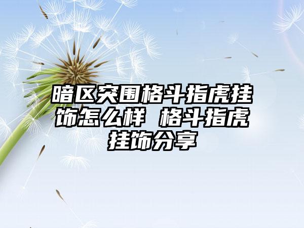 暗区突围格斗指虎挂饰怎么样 格斗指虎挂饰分享