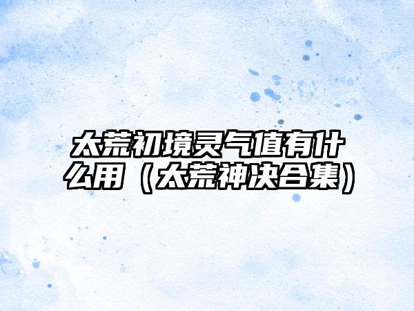 太荒初境灵气值有什么用（太荒神决合集）