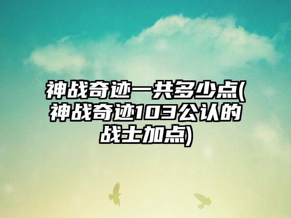 神战奇迹一共多少点(神战奇迹103公认的战士加点)