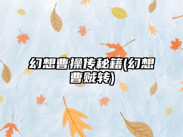 幻想曹操传秘籍(幻想曹贼转)