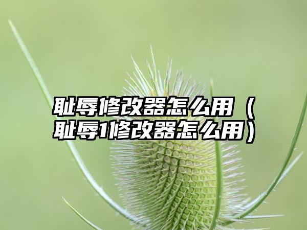 耻辱修改器怎么用（耻辱1修改器怎么用）