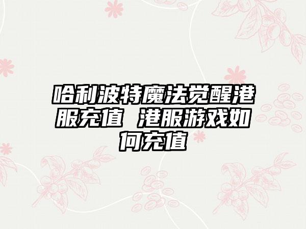 哈利波特魔法觉醒港服充值 港服游戏如何充值