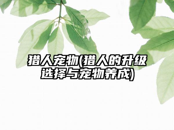 猎人宠物(猎人的升级选择与宠物养成)