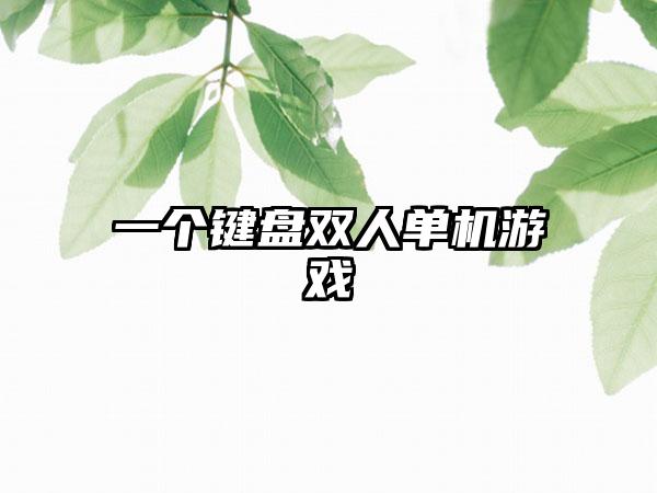 一个键盘双人单机游戏