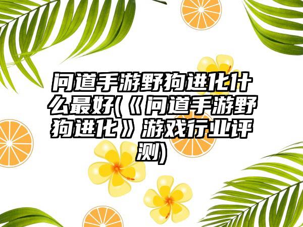 问道手游野狗进化什么最好(《问道手游野狗进化》游戏行业评测)