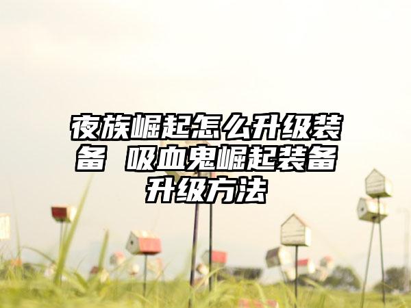 夜族崛起怎么升级装备 吸血鬼崛起装备升级方法