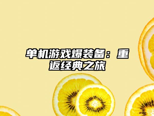 单机游戏爆装备：重返经典之旅