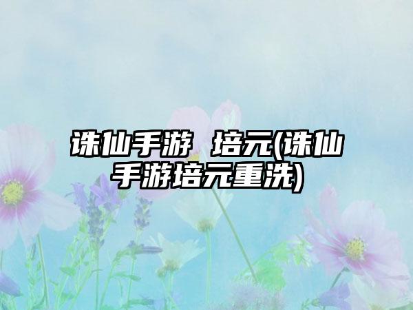 诛仙手游 培元(诛仙手游培元重洗)