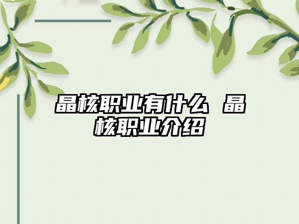 晶核职业有什么 晶核职业介绍