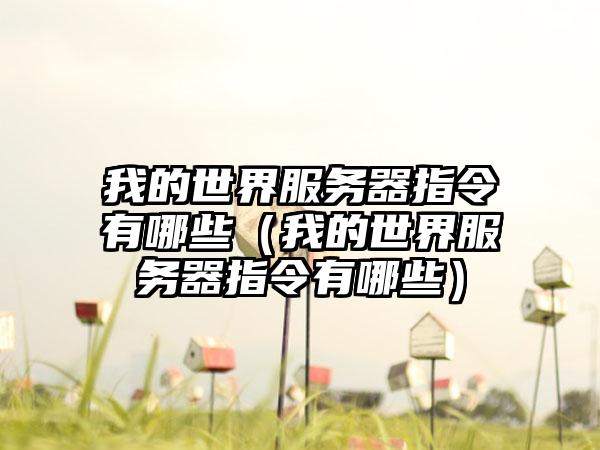 我的世界服务器指令有哪些（我的世界服务器指令有哪些）