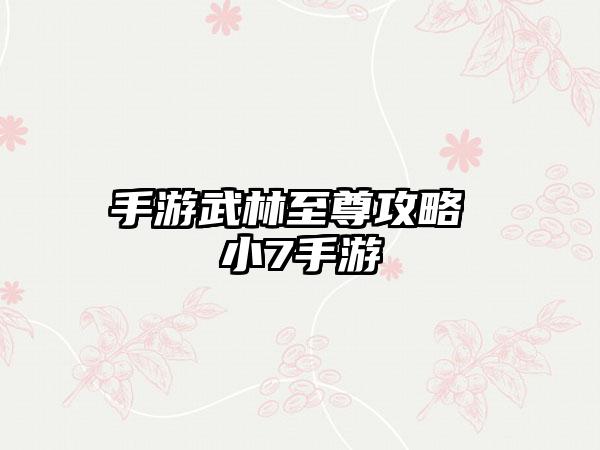 手游武林至尊攻略 小7手游