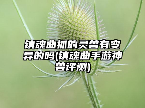 镇魂曲抓的灵兽有变异的吗(镇魂曲手游神兽评测)