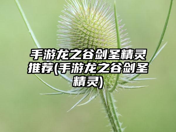 手游龙之谷剑圣精灵推荐(手游龙之谷剑圣精灵)