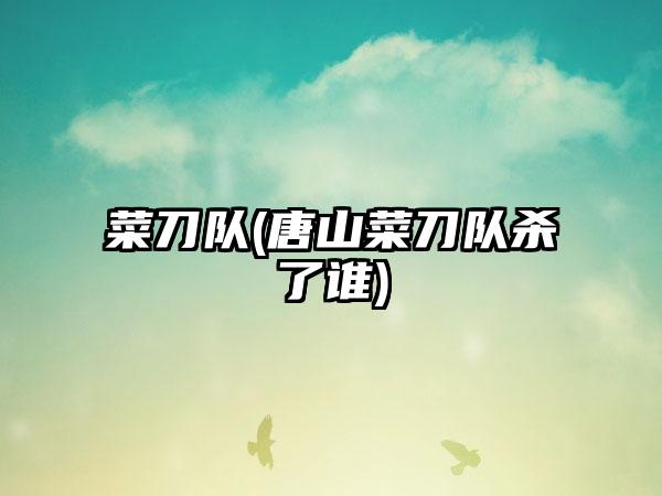 菜刀队(唐山菜刀队杀了谁)